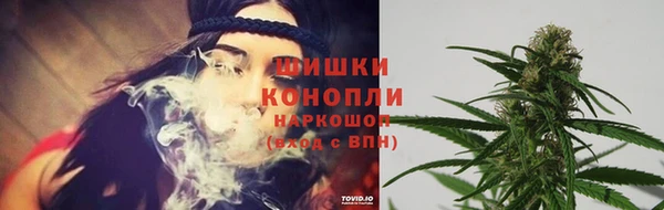 мдма Новозыбков