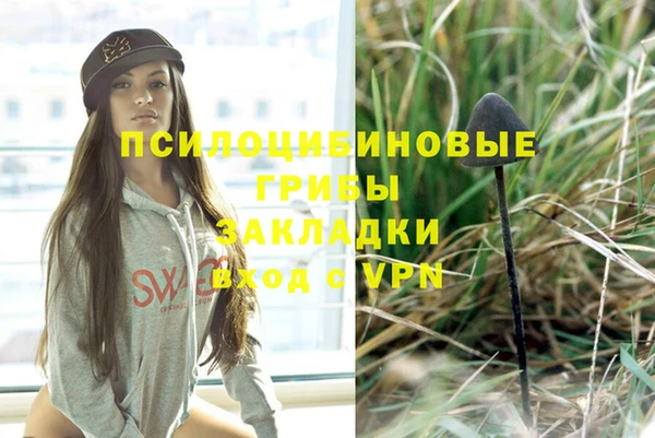 мдма Новозыбков