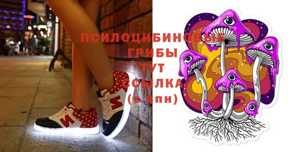 мдма Новозыбков
