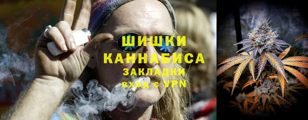 дурь Новодвинск