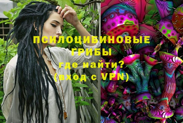не бодяженный Нязепетровск